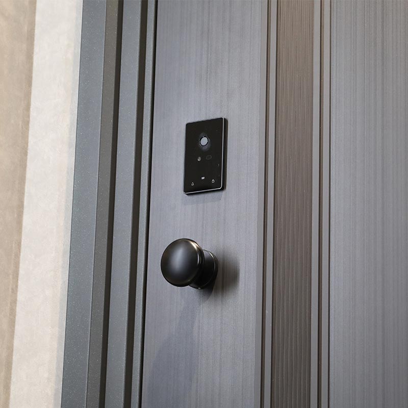 Minimalist Modern Entrance Door