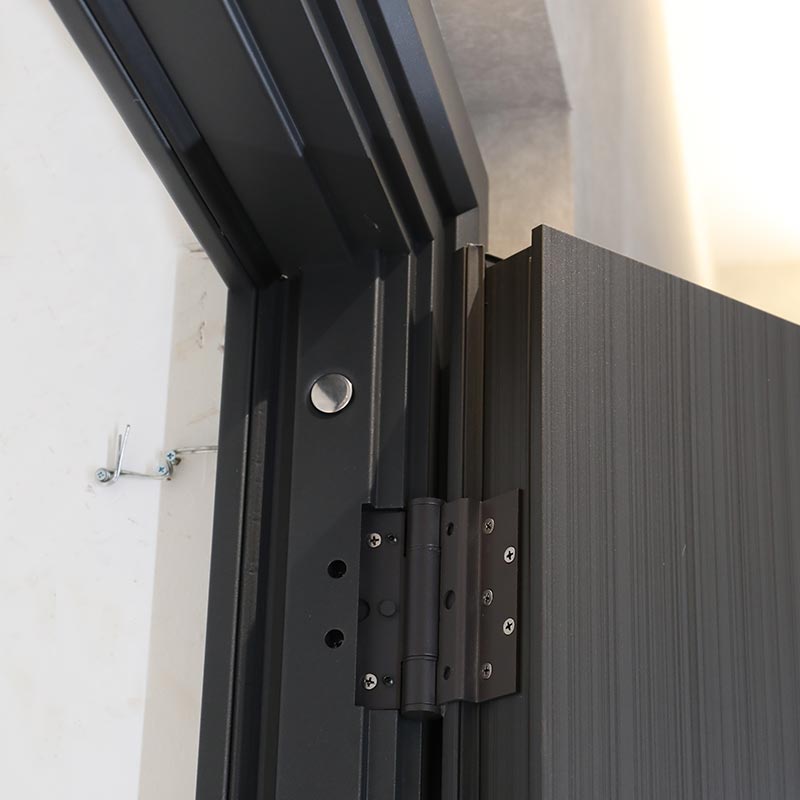 Minimalist Modern Entrance Door