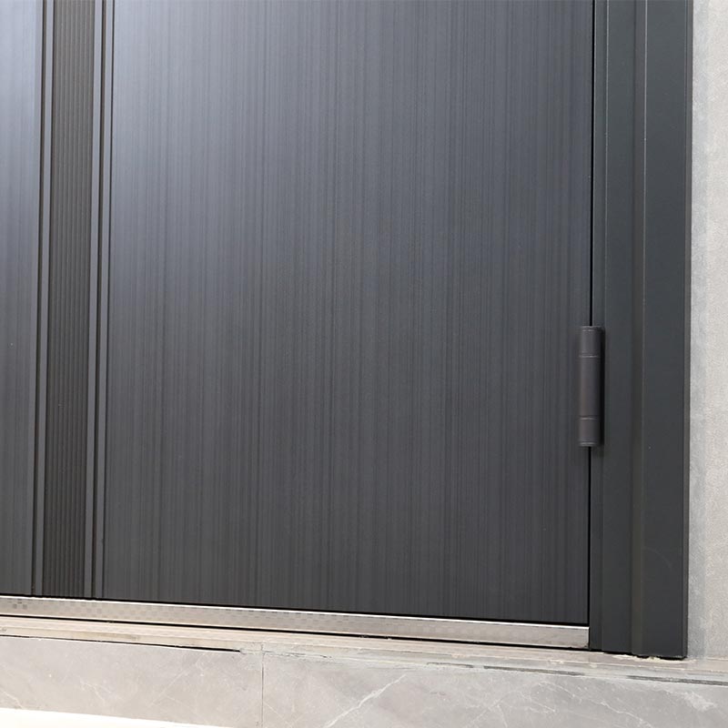 Minimalist Modern Entrance Door